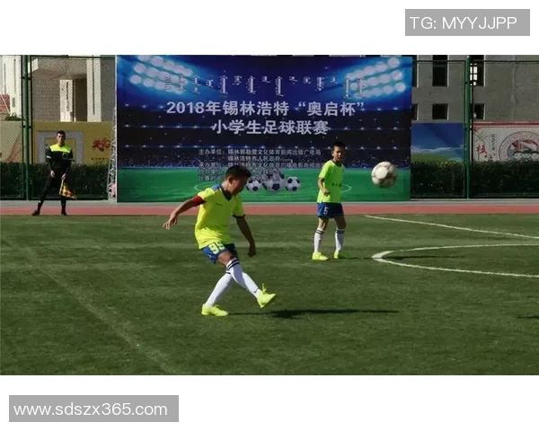 重磅专题：探秘成都羽毛球队盯防战术革新与实战应用