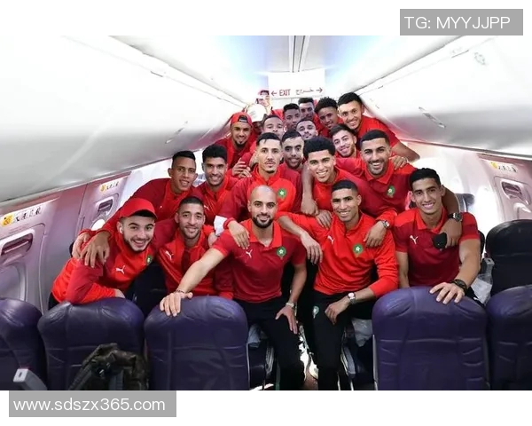 加纳队与俄罗斯队激战正酣谁将赢得这场精彩对决